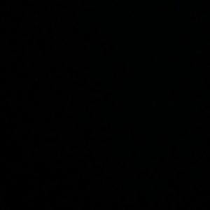 Meet your Posher, Abigail